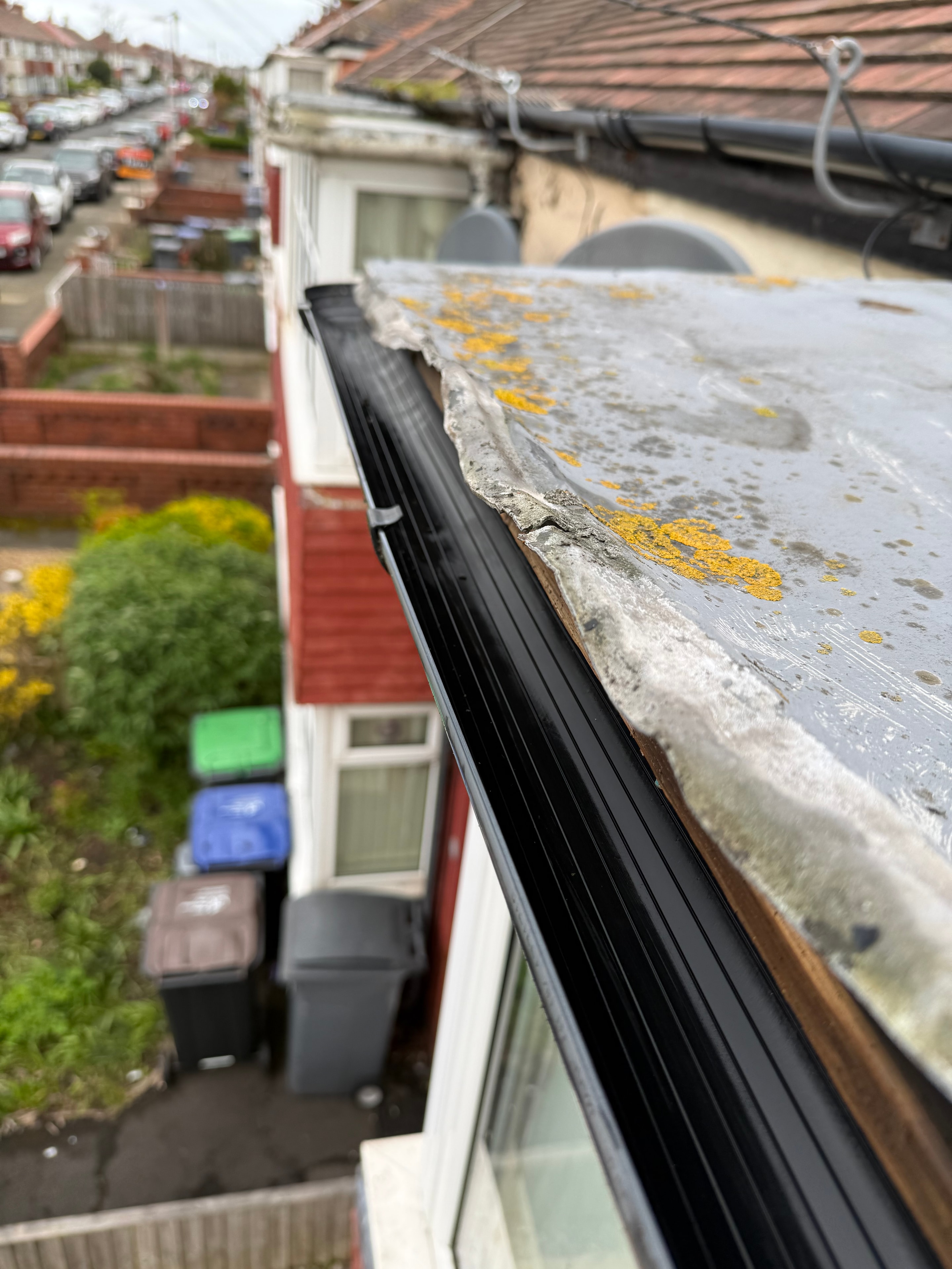 Gutter Cleaning
